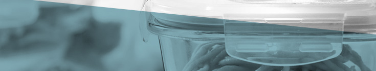 Lock & Lock Food Storage Containers 