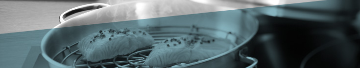 Smokers & Dehydrator