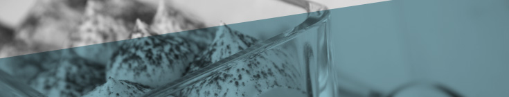 Soda Siphons & Accessories