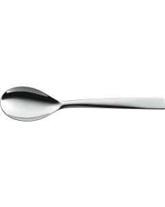 METEO Serving Spoon